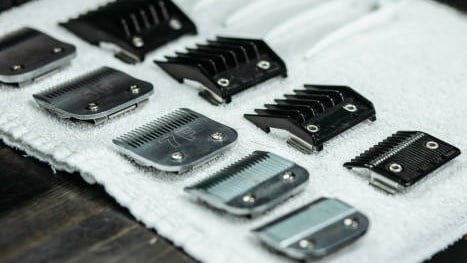 istockphoto-1131442333-612x612