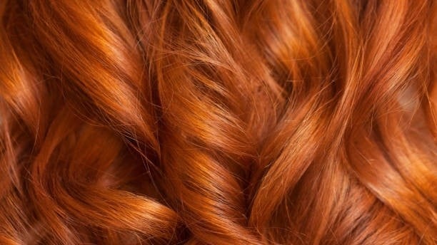 istockphoto-870506462-612x612