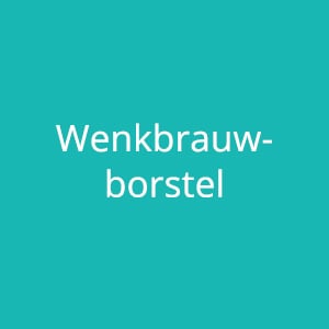 wenkbrauwborstel kh