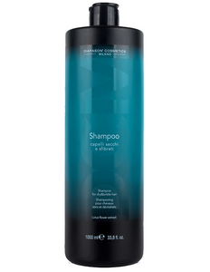 DCM Dry Hair Shampoo