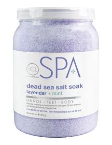 BCL SPA Lavender + Mint Dead Sea Salt Soak