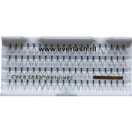 Everlash Wimper Extensions Spread 80Stk