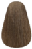 06N: Dark Blonde