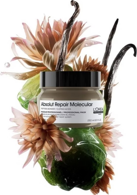 Loreal Serie Expert Absolut Repair Molecular Mask Haarmasker