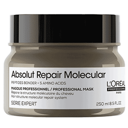 Loreal Serie Expert Absolut Repair Molecular Mask Haarmasker
