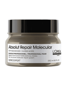 Loreal Serie Expert Absolut Repair Molecular Mask Haarmasker