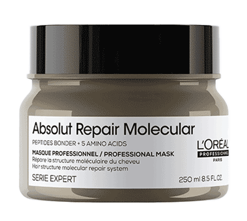 Loreal Serie Expert Absolut Repair Molecular Mask Haarmasker