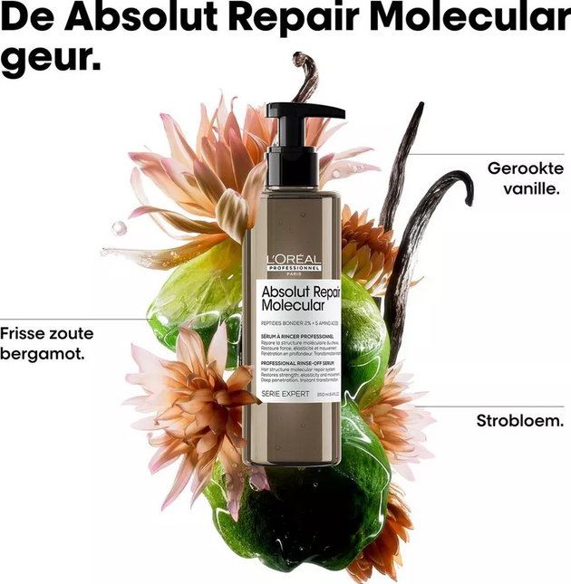 Loreal Serie Expert Absolut Repair Rinse-Off Serum (250ml)