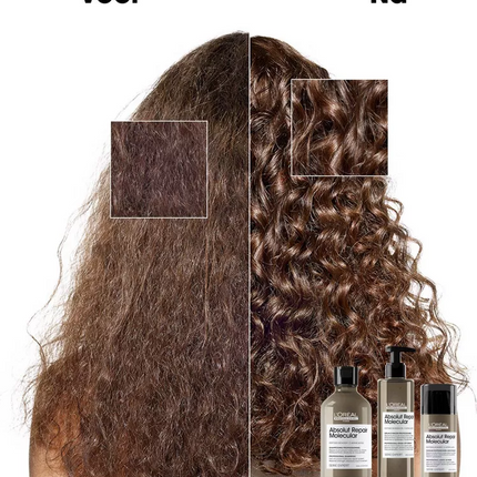 Loreal Serie Expert Absolut Repair Rinse-Off Serum (250ml)