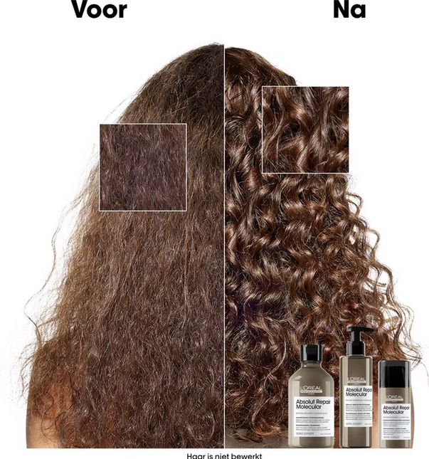 Loreal Serie Expert Absolut Repair Rinse-Off Serum (250ml)