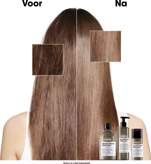 Loreal Serie Expert Absolut Repair Rinse-Off Serum (250ml)