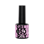 #089 Teddy