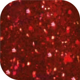 Astonishing Gelosophy Gel Polish #151 en meer + TPO-vrij