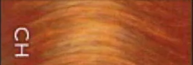 Chestnut 1 Zakje (60gr)