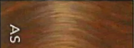 Ash Brown  1 Zakje (60gr)