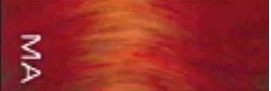 Mahoganie  1 Zakje (60gr)