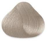 10.1-10A (Lightest Ash Blonde)