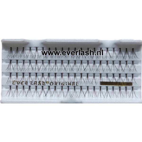 Everlash Wimper Extensions Spread 80Stk