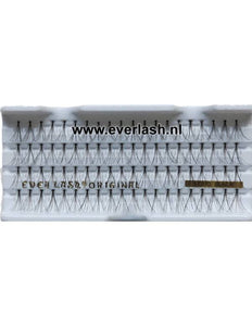 Everlash Wimper Extensions Spread 80Stk