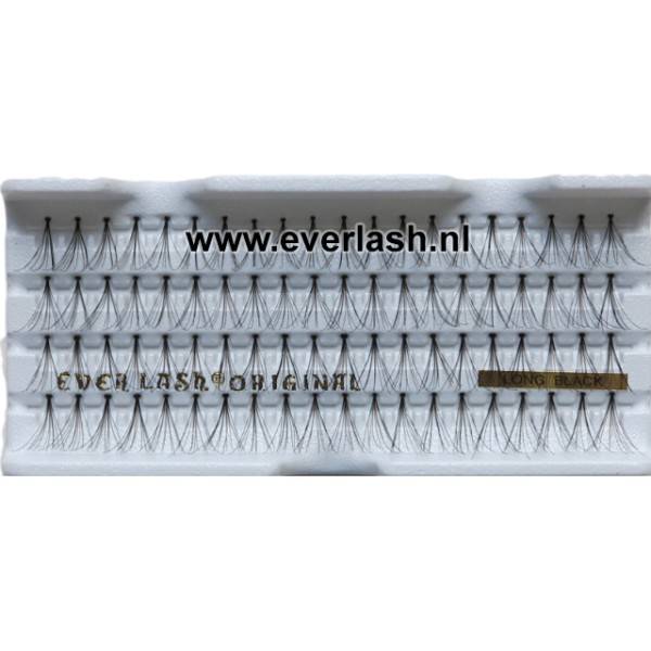 Everlash Wimper Extensions Spread 80Stk