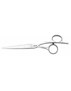 Jaguar Jaguar Silver Line Fame Knipschaar*