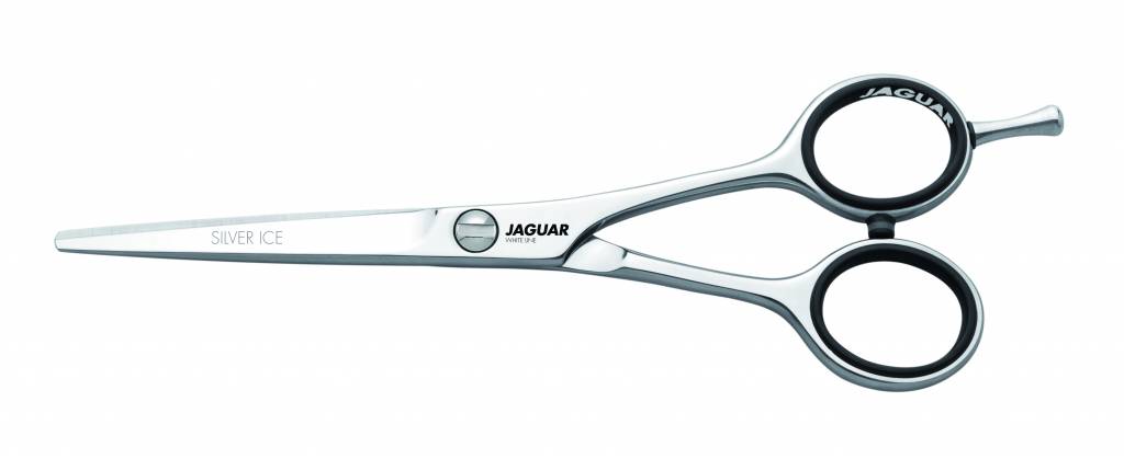 Jaguar Jaguar White Line Silver Ice Knipschaar