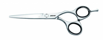 Jaguar Silver Line CJ3 & Design Knipschaar